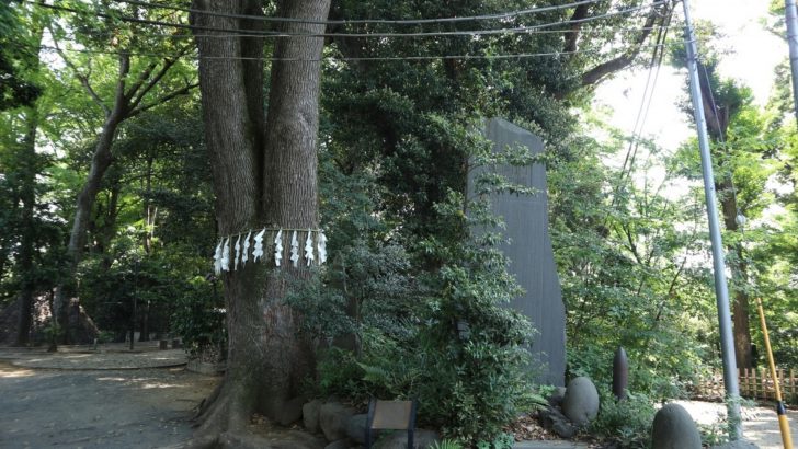 代々木八幡宮